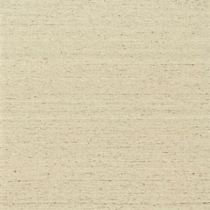 SN-06_EARTH BROWN